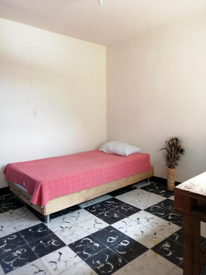 Selvática Hostel Medellín Kültér fotó