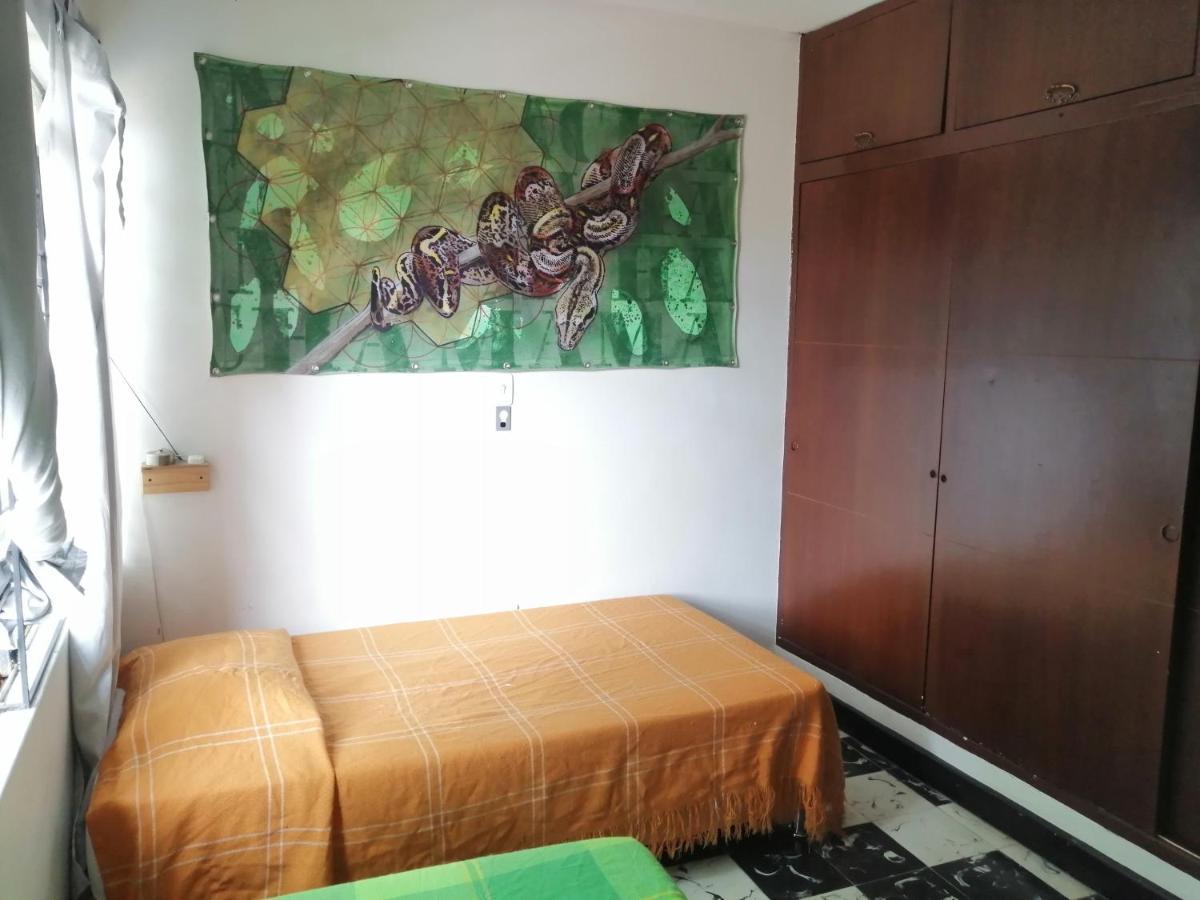 Selvática Hostel Medellín Kültér fotó