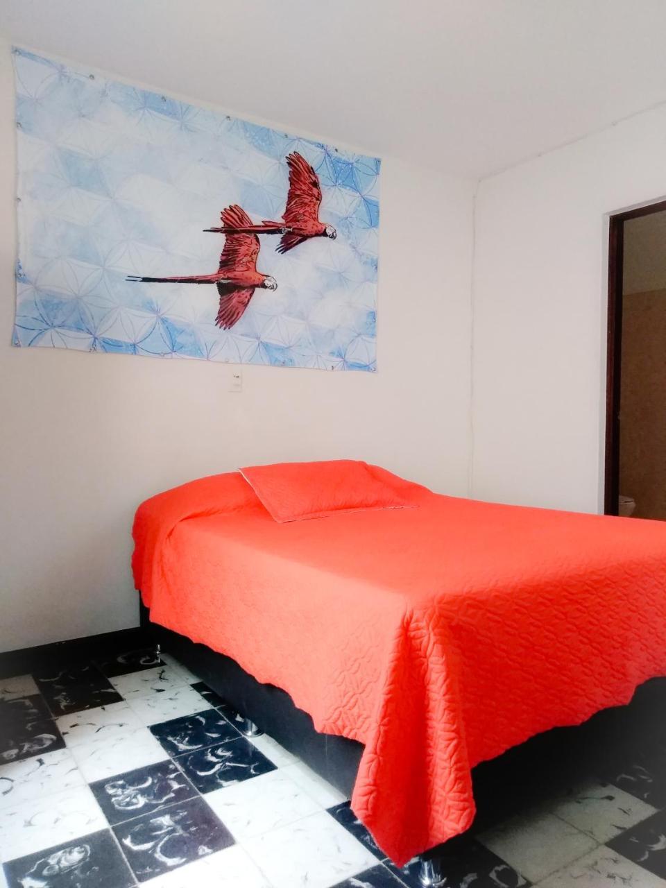 Selvática Hostel Medellín Kültér fotó
