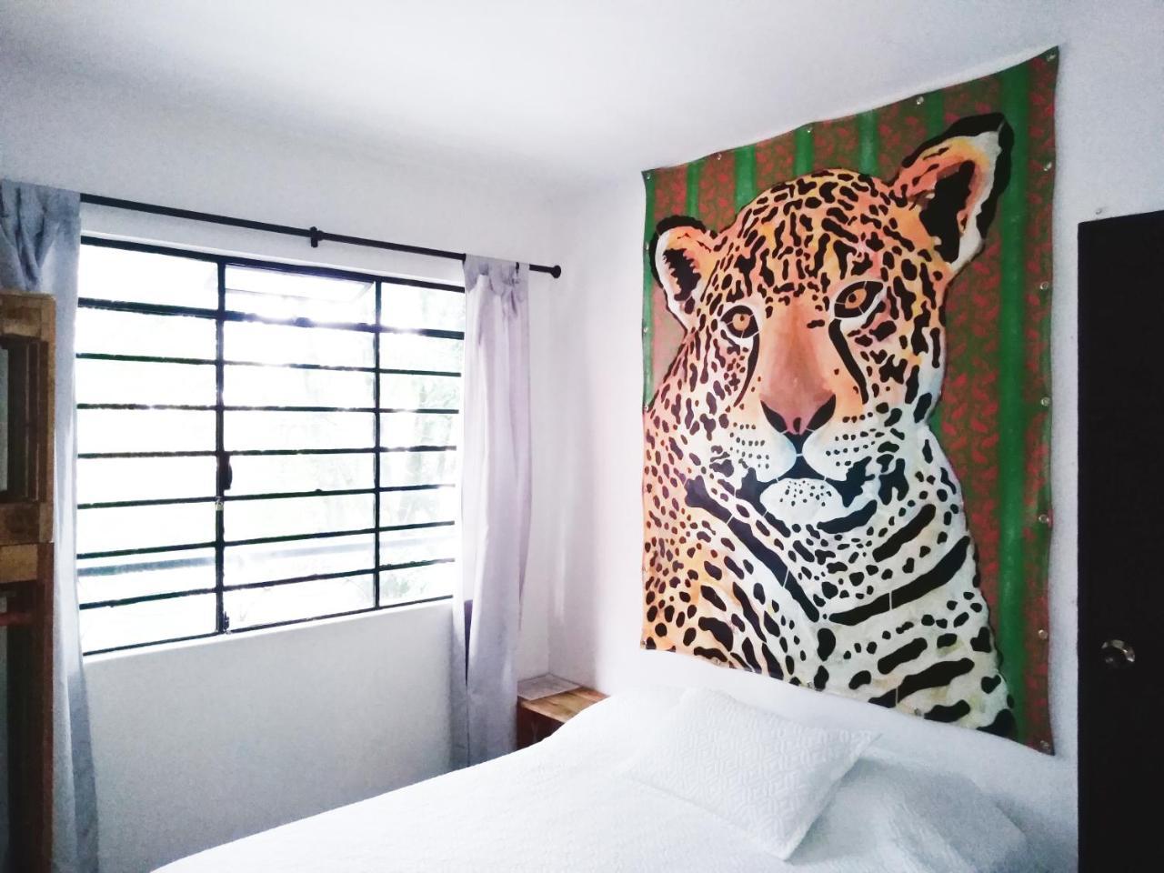 Selvática Hostel Medellín Kültér fotó