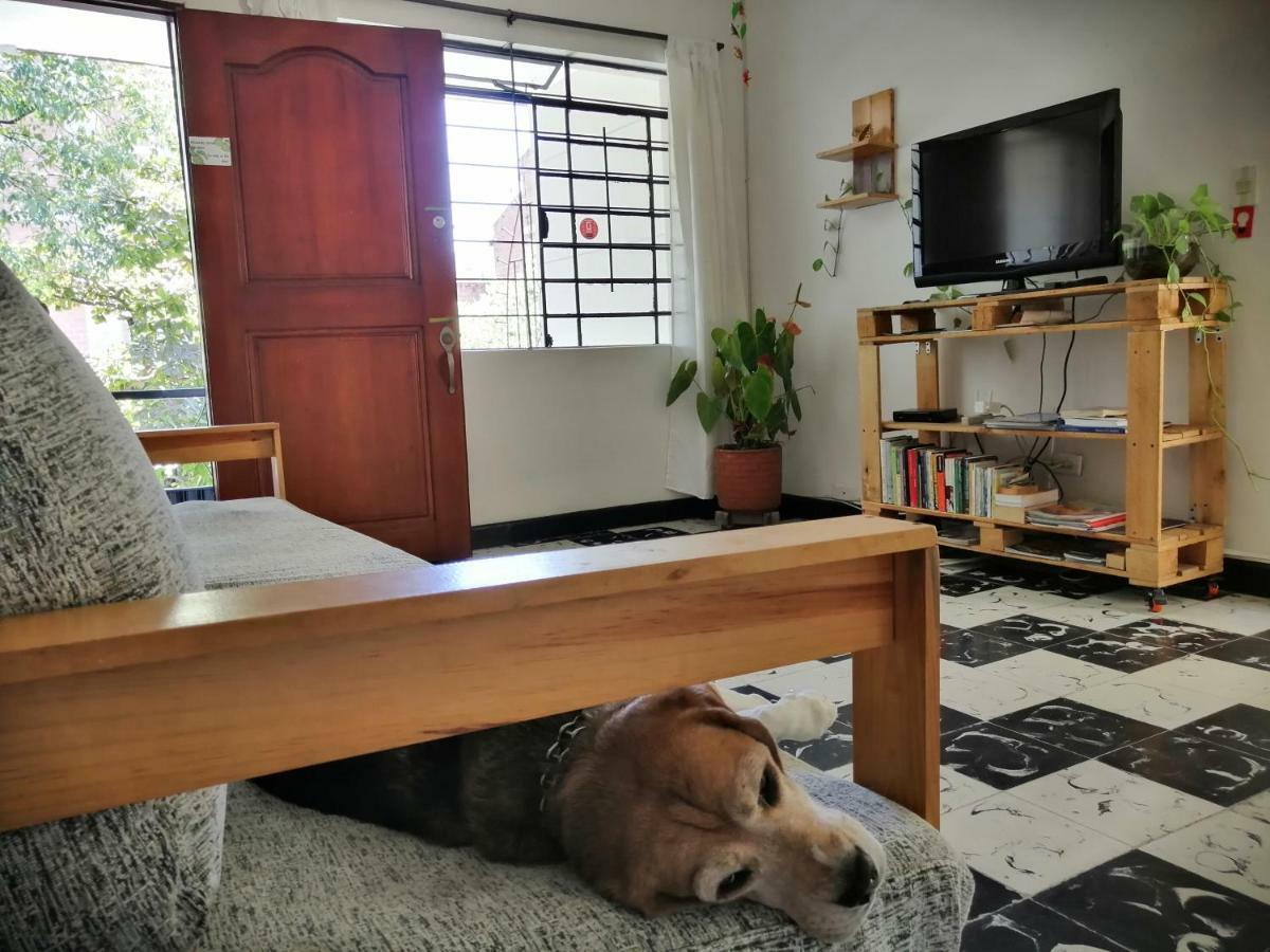 Selvática Hostel Medellín Kültér fotó