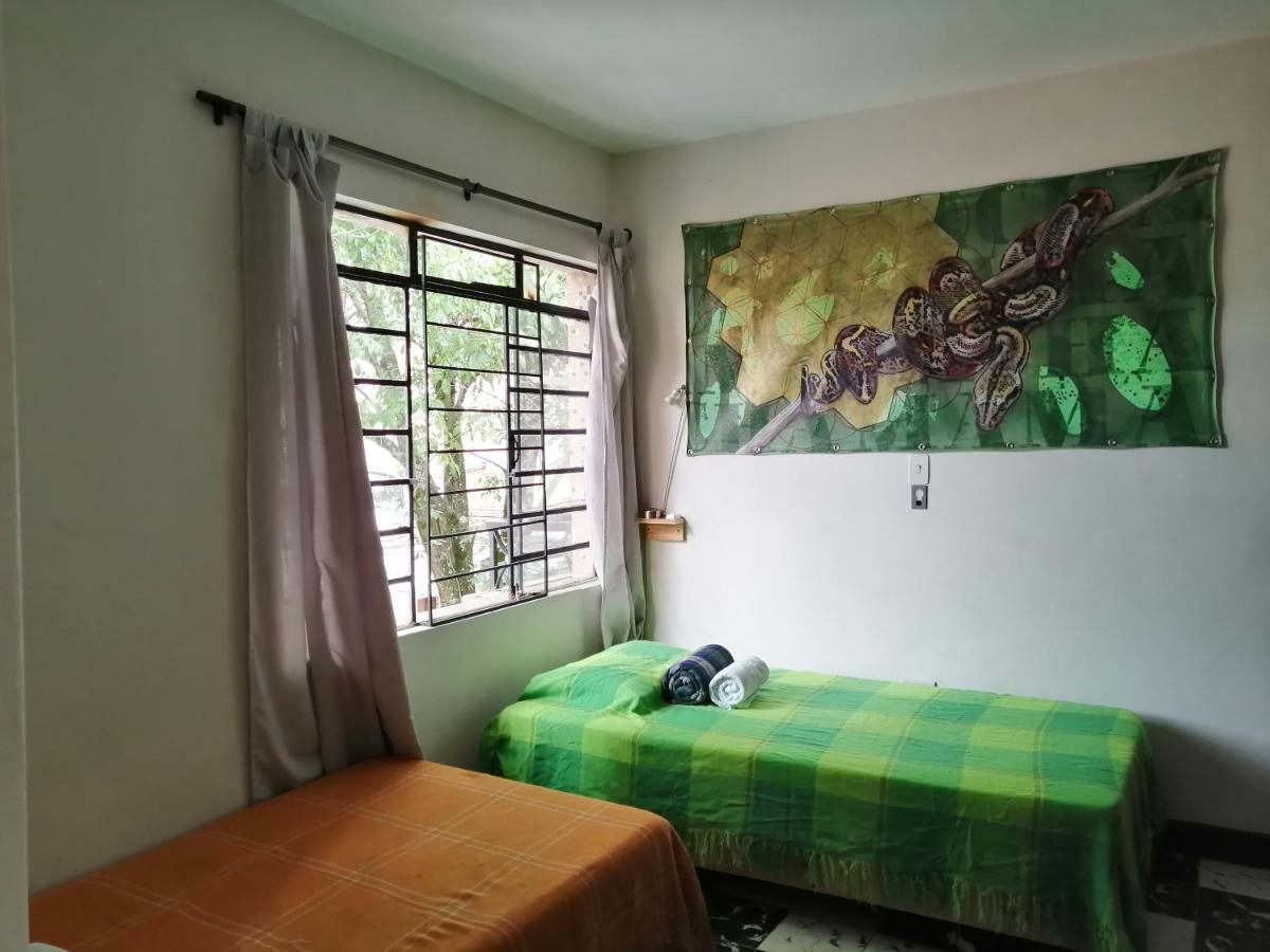 Selvática Hostel Medellín Kültér fotó