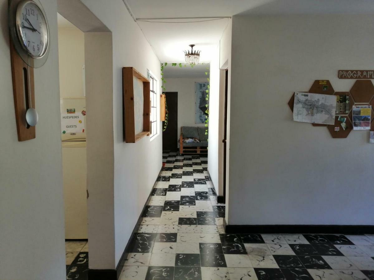 Selvática Hostel Medellín Kültér fotó