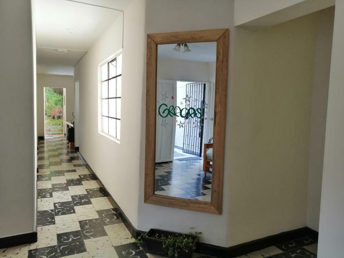 Selvática Hostel Medellín Kültér fotó