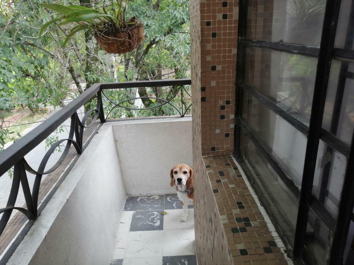 Selvática Hostel Medellín Kültér fotó